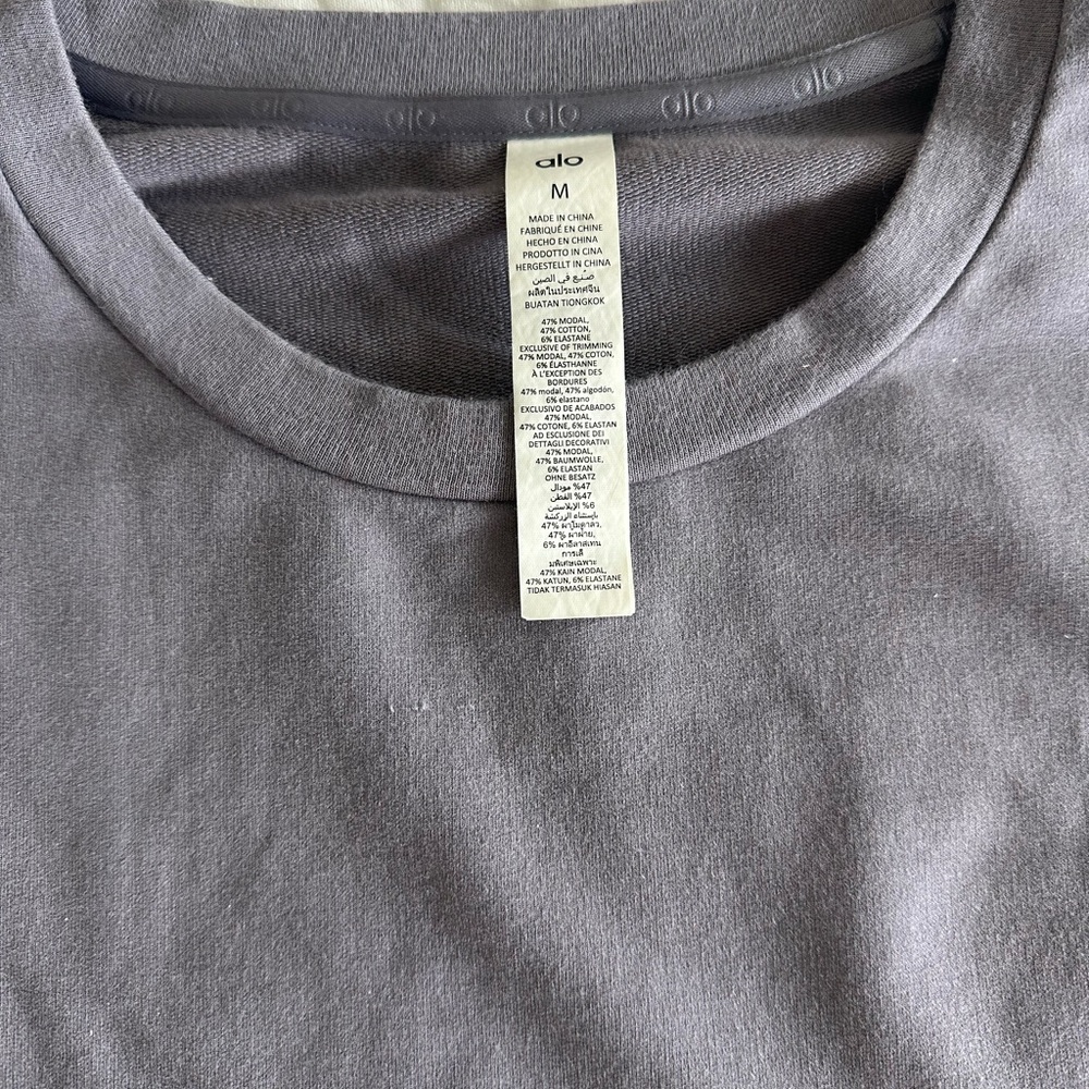 ALO Yoga Men's Purple Tee